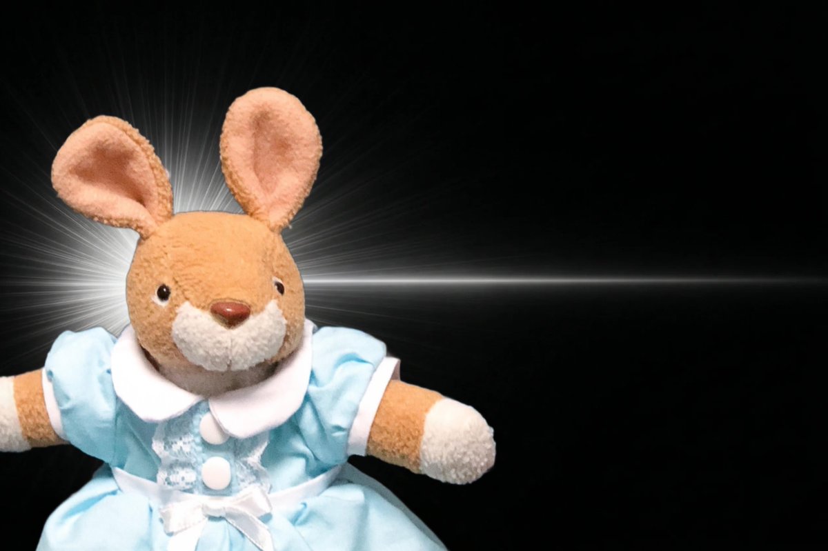 nuiusagi3's tweet photo. 🐰💡💥

#inspirationcat https://t.co/DTAgSCA5Zm