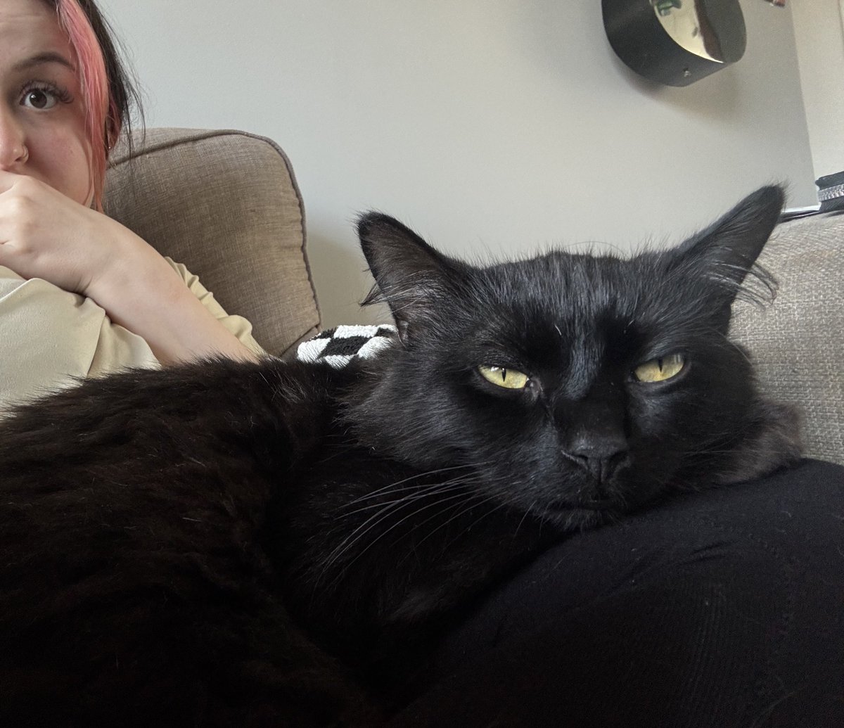 aimeeshikari's tweet photo. i’d just like to retire from work and stay home with my grumpy boy https://t.co/86FR7J8SSW