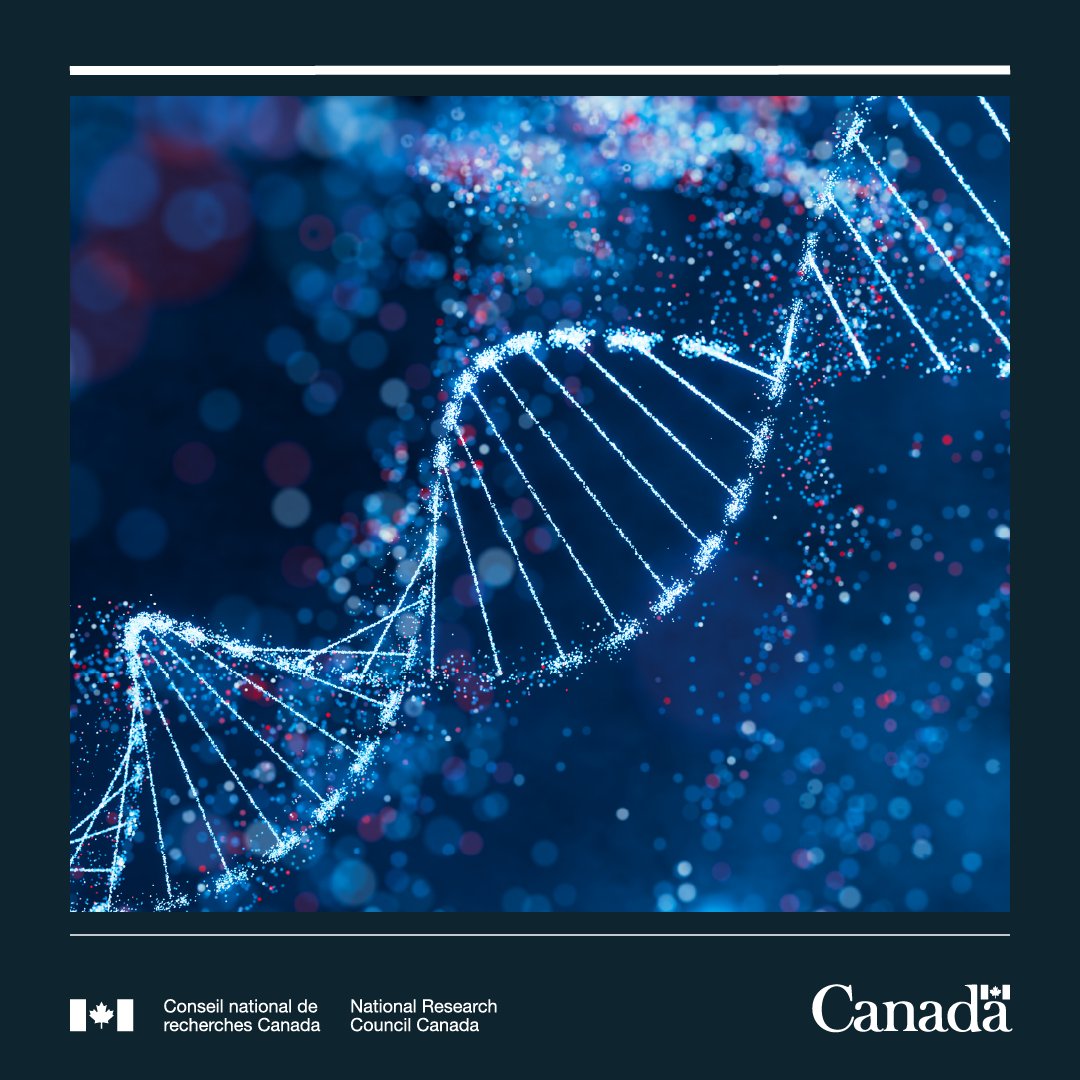 CNRC_NRC's tweet image. Avis aux #PME canadiennes en #biotech : vous visez le marché mondial?

Collaborez à des solutions innovantes avec des partenaires internationaux grâce à l’appel de propositions 2026 @EUREKA_NETWORK.

Postulez d’ici le 16 juin : ow.ly/9Czw50YGzRV

#VisezLoinAvecLeCNRC #PARI