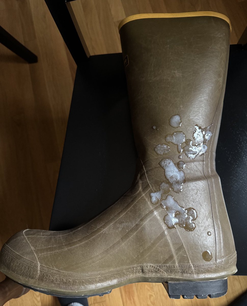 Bootstud tweet media