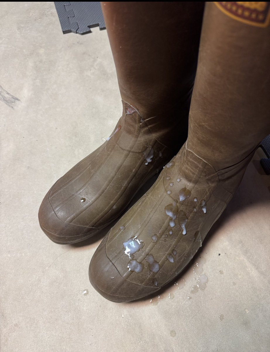 Bootstud tweet media