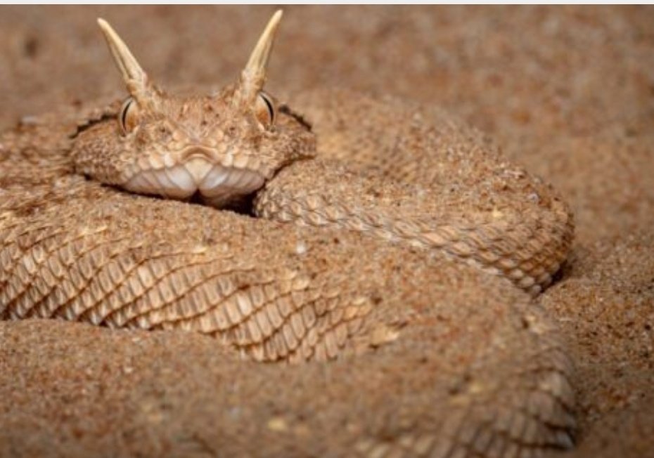 🌴【ⒷⒶⒹⓇ】🌴 tweet media