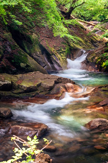 Janice Ferguson tweet media