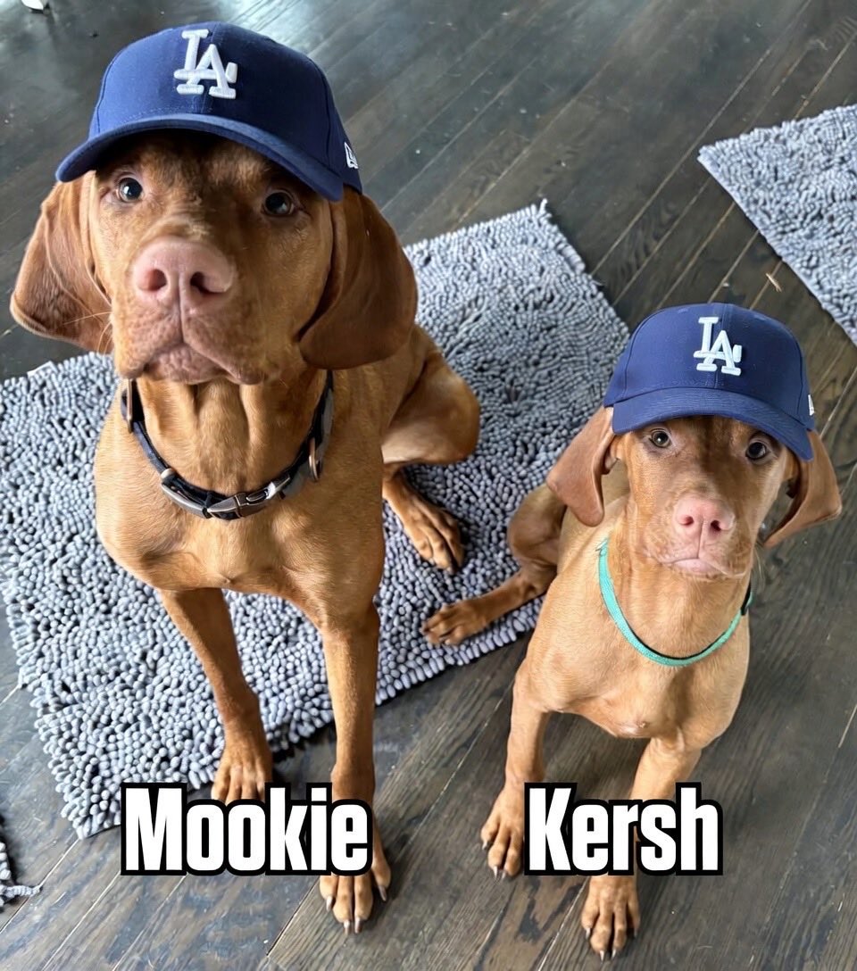 punchy7080's tweet photo. @Dodgers can I get a retweet for my “Dodger dogs”? https://t.co/Al7eRKPacB