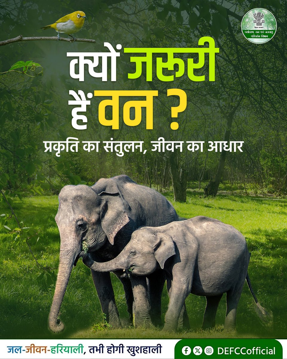 DEFCCOfficial's tweet image. शुद्ध हवा, संतुलित जलवायु और वन्यजीवों का सुरक्षित आवास, वन हमारे जीवन का अभिन्न हिस्सा हैं। आइए, इन अनमोल वनों की रक्षा करें और मिलकर हरित और समृद्ध बिहार का निर्माण करें।

#NatureConservation #Biodiversity #EcoAwareness 
#GoGreen #SaveEnvironmen