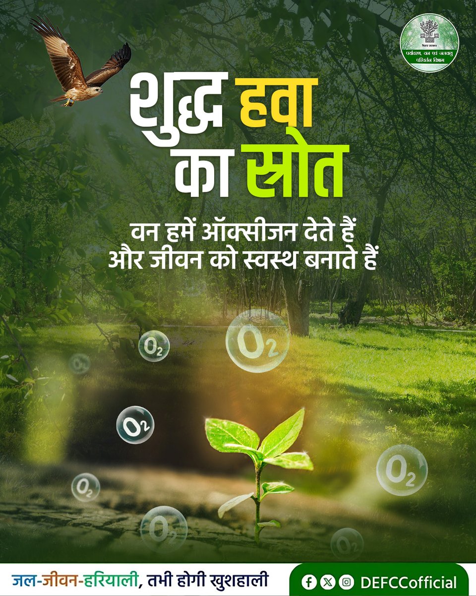 DEFCCOfficial's tweet image. शुद्ध हवा, संतुलित जलवायु और वन्यजीवों का सुरक्षित आवास, वन हमारे जीवन का अभिन्न हिस्सा हैं। आइए, इन अनमोल वनों की रक्षा करें और मिलकर हरित और समृद्ध बिहार का निर्माण करें।

#NatureConservation #Biodiversity #EcoAwareness 
#GoGreen #SaveEnvironmen