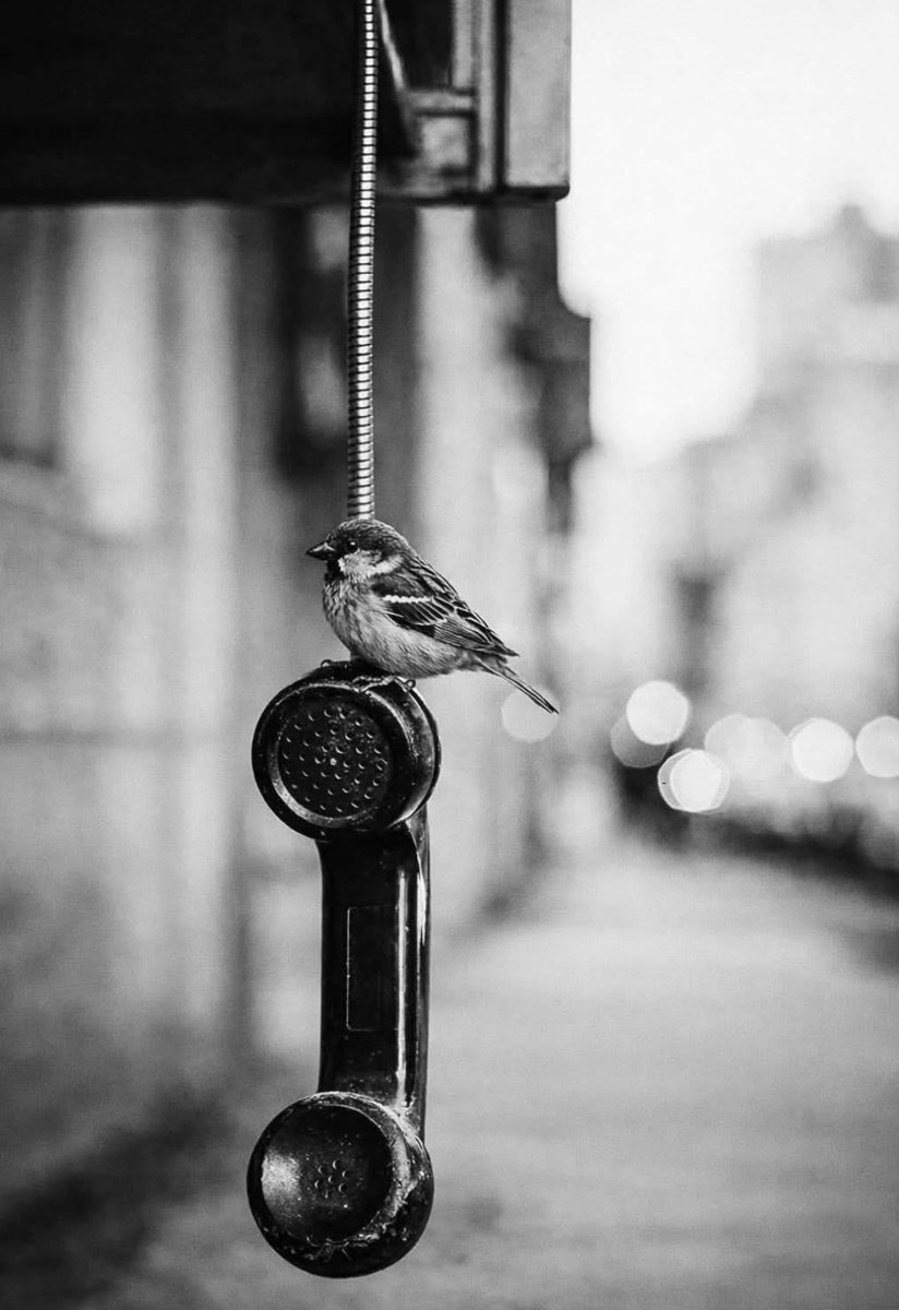 Linda Fritz tweet media