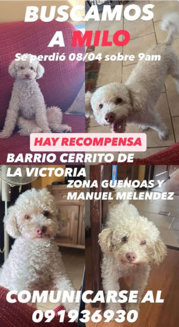 Giovanna Moreno tweet media