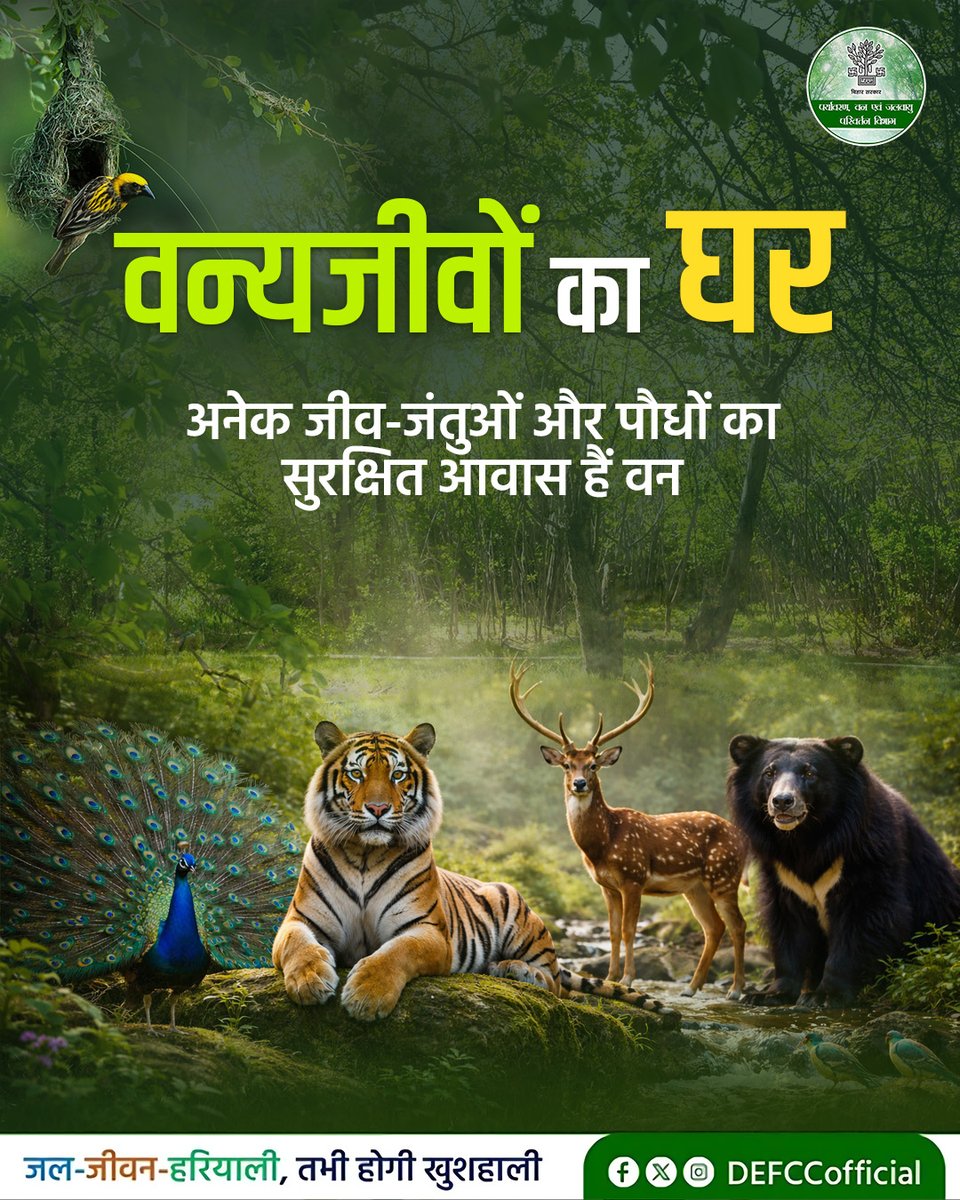 DEFCCOfficial's tweet image. शुद्ध हवा, संतुलित जलवायु और वन्यजीवों का सुरक्षित आवास, वन हमारे जीवन का अभिन्न हिस्सा हैं। आइए, इन अनमोल वनों की रक्षा करें और मिलकर हरित और समृद्ध बिहार का निर्माण करें।

#NatureConservation #Biodiversity #EcoAwareness 
#GoGreen #SaveEnvironmen