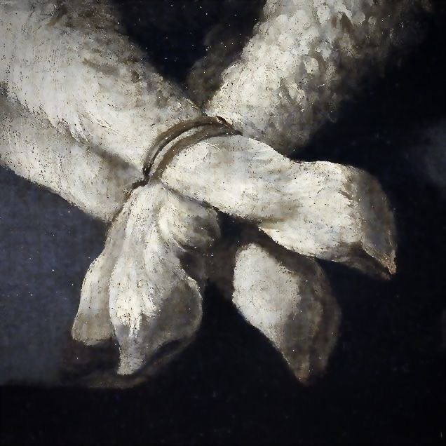 𝖽𝙧. 𝙧𝗼𝘣𝗂𝗇𝖺𝘃𝗂t𝖼𝘩. tweet media