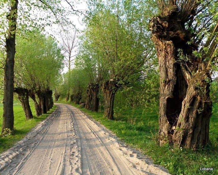 Prof. Richie Tozier tweet media