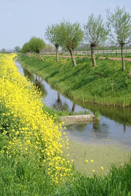 Prof. Richie Tozier tweet media