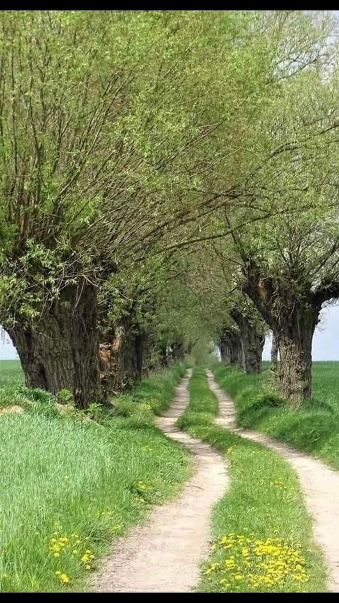 Prof. Richie Tozier tweet media