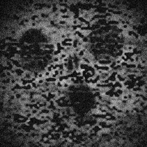 Cross of #indextwt 🍉 tweet media