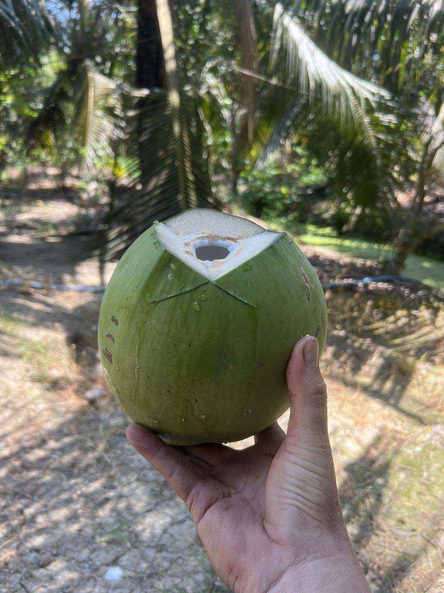 Nguyễn Lâm Duy | David tweet media