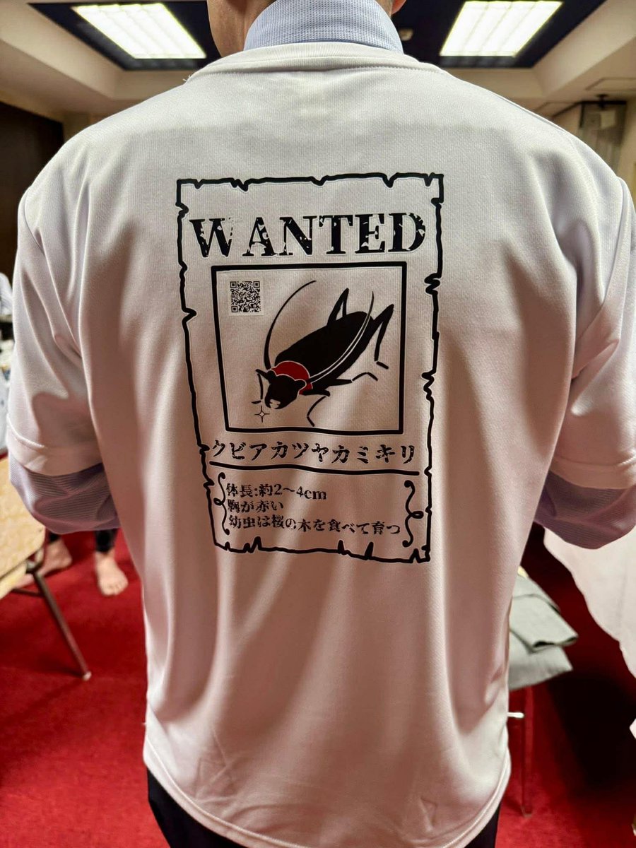 ヨッピー tweet media