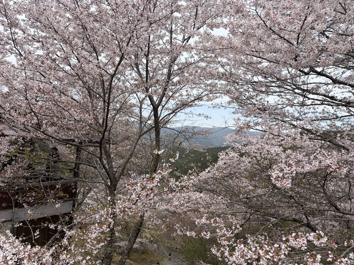 ヨッピー tweet media