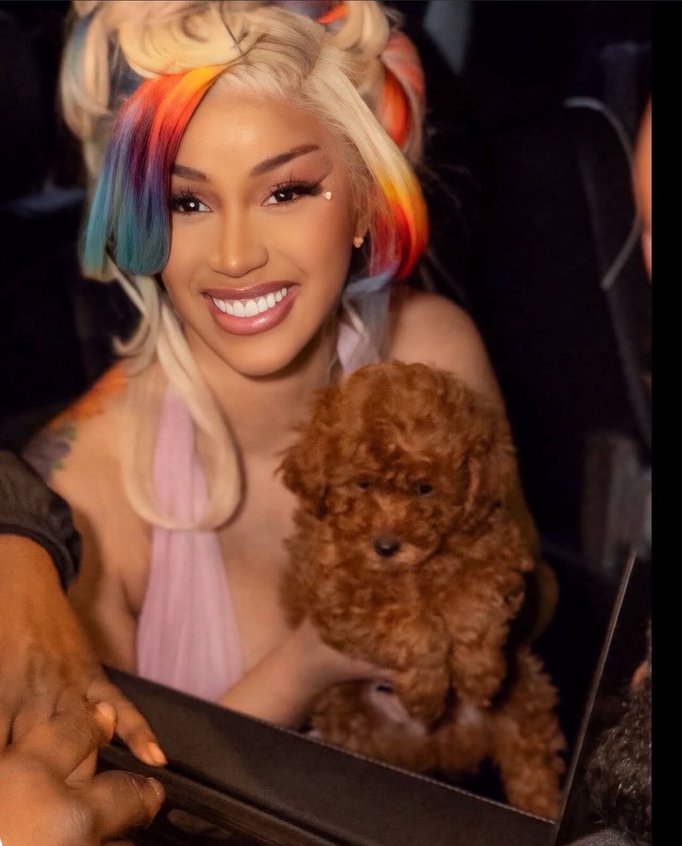 Bodega Baddie tweet media