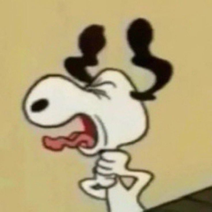 Ი︵𐑼 tweet media