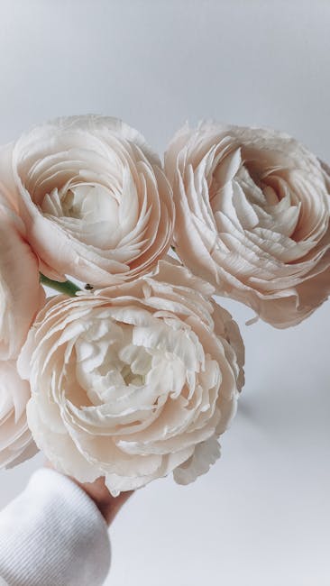 Matthew Russo tweet media