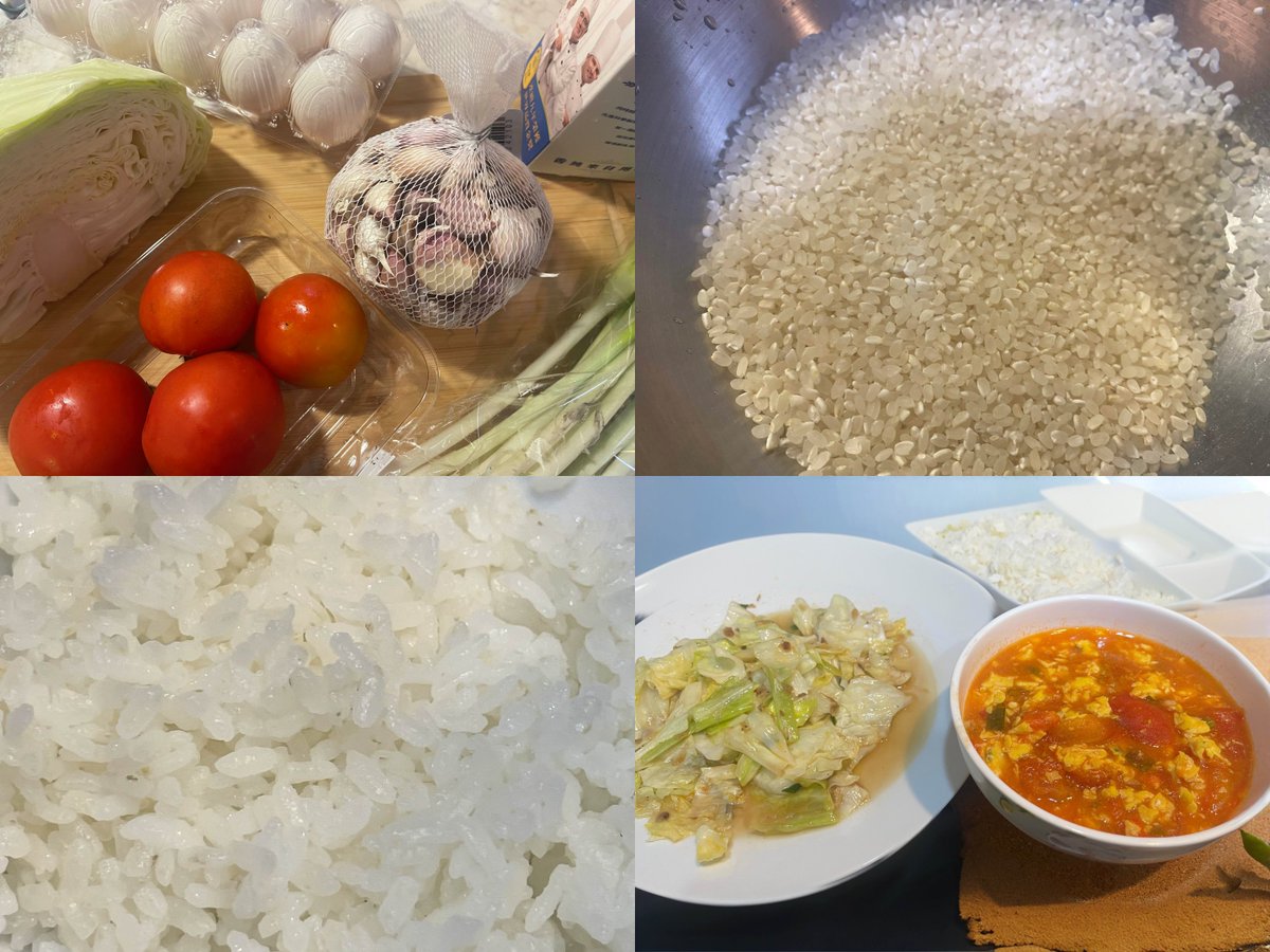 賽特珞Cetro 🦇 Timaeus tweet media