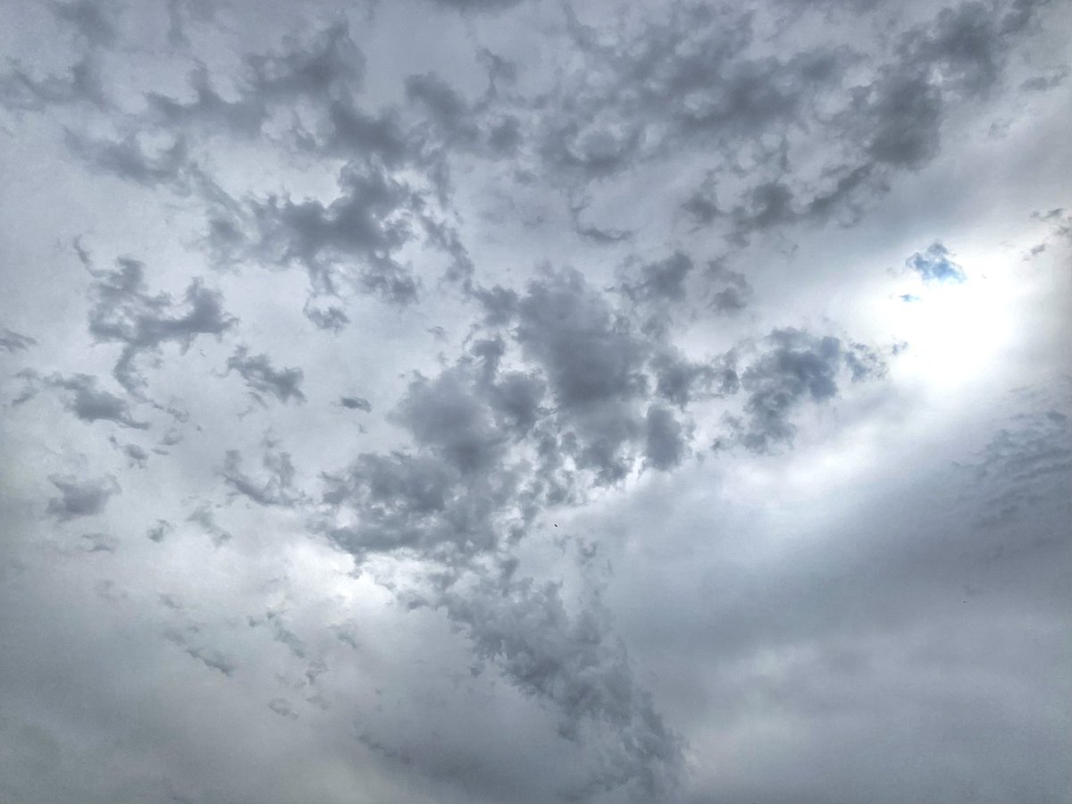 ruths_gallery's tweet image. While sitting in our balcony this afternoon we were fascinated by these crazy clouds that appeared overhead as the temp suddenly dropped by 4 degrees! 

And then we saw a bear’s face. 

#clouds #viewfrommybalcony @CloudAppSoc #cloudshape