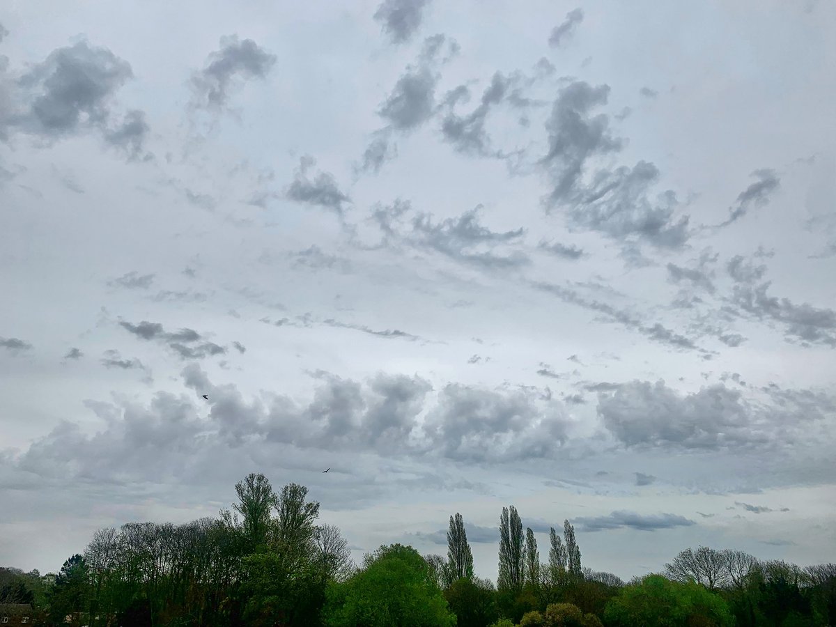 ruths_gallery's tweet image. While sitting in our balcony this afternoon we were fascinated by these crazy clouds that appeared overhead as the temp suddenly dropped by 4 degrees! 

And then we saw a bear’s face. 

#clouds #viewfrommybalcony @CloudAppSoc #cloudshape