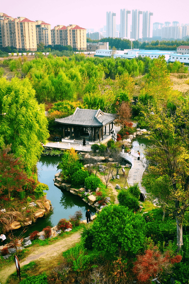 half_sham tweet media