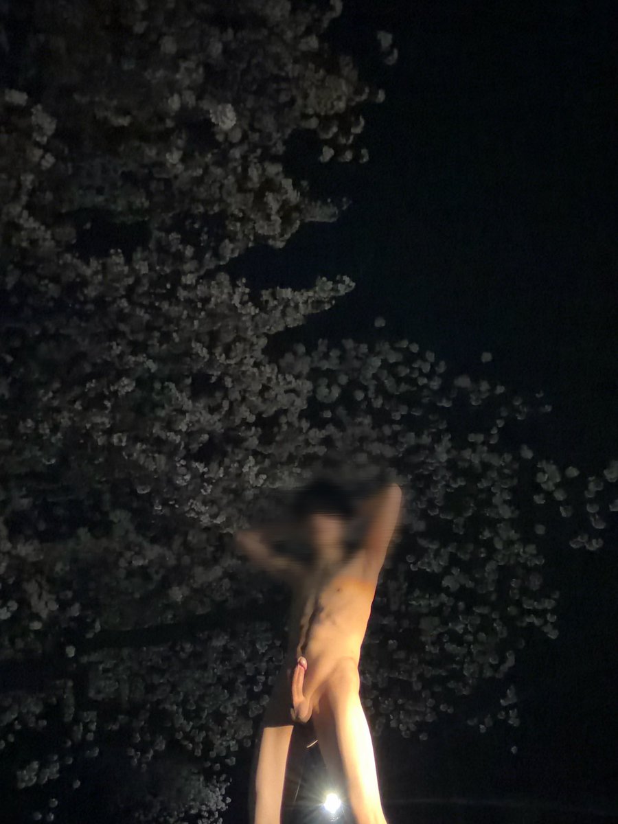 Panton3367's tweet photo. 桜露気持ちいい https://t.co/pZj3X3yOnf