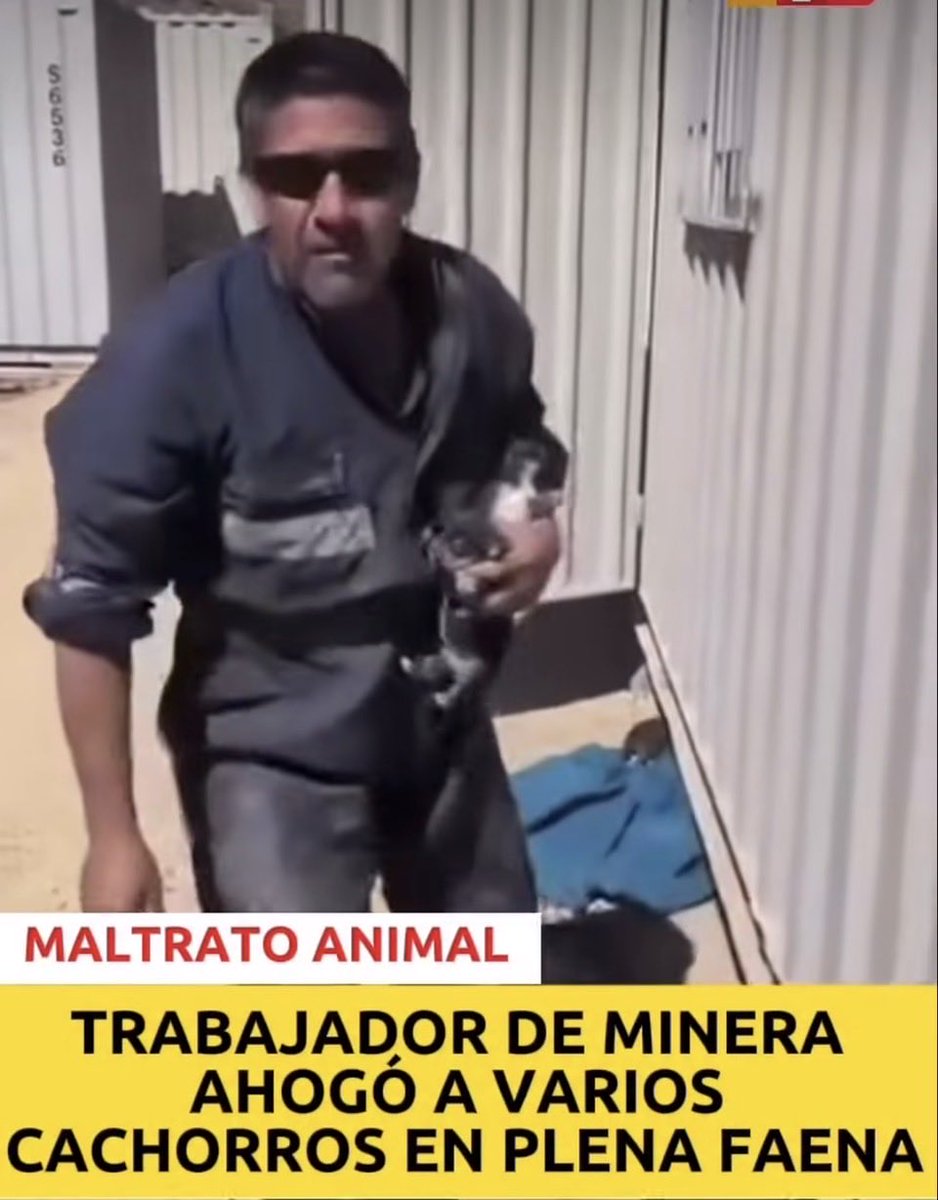 Mamá Lechuza  🦉 tweet media