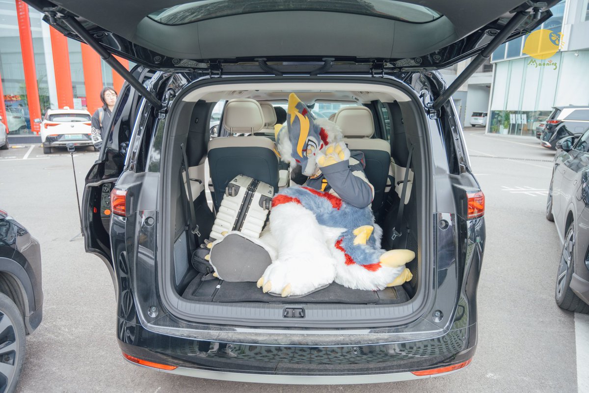 猫柠Maoning ～ tweet media