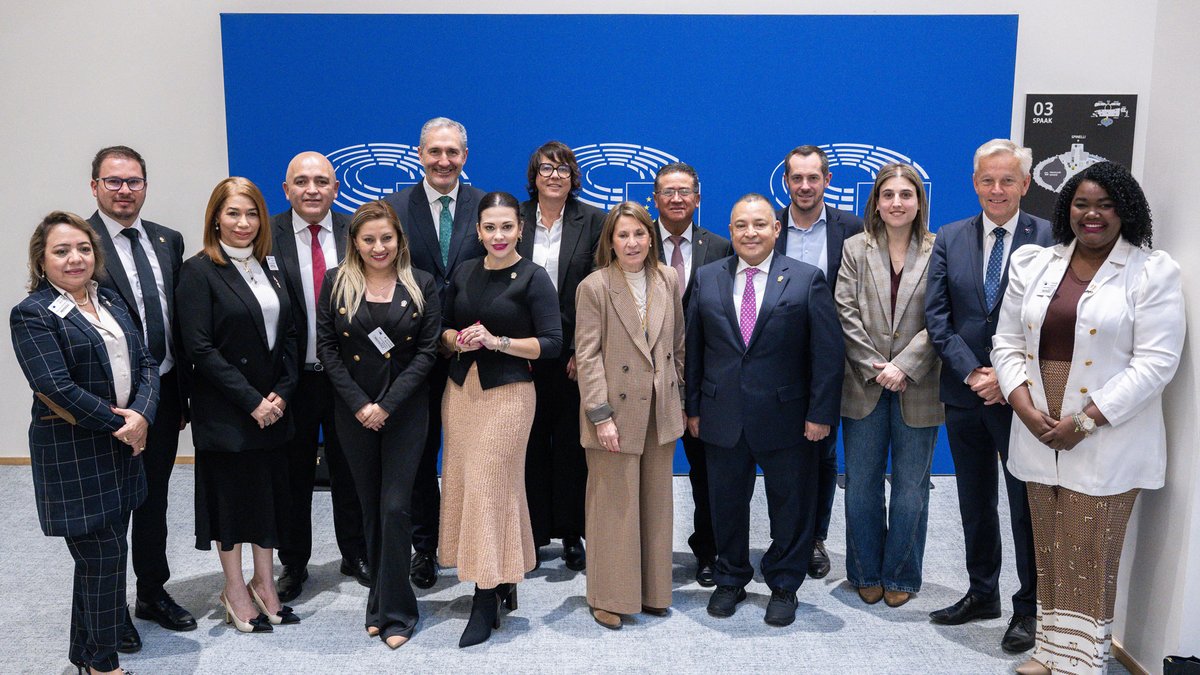 European Parliament Diplomacy tweet media