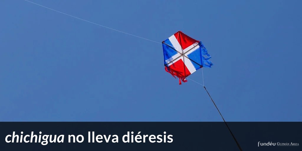 Fundéu Guzmán Ariza tweet media