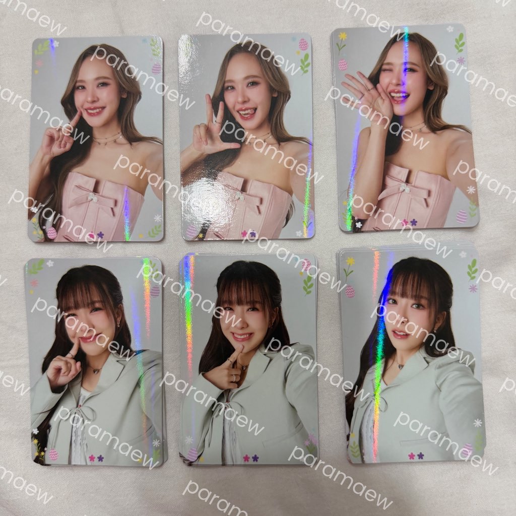 พาราแมว (สาขา2) tweet media