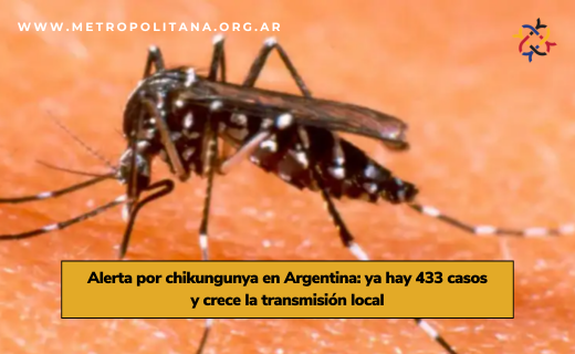 FundaMetro's tweet photo. 🗞 ¡Llegan las Noticias Metropolitanas de esta semana!

No te pierdas esta edición con titulares de los Aglomerados Urbanos del país. ¡Con artículos sobre economía, política, ambiente y mucho más!

🔗 https://t.co/w7baTeir3A

#NotMet #Noticias #AglomeradosUrbanos https://t.co/CWAw0qu7mT