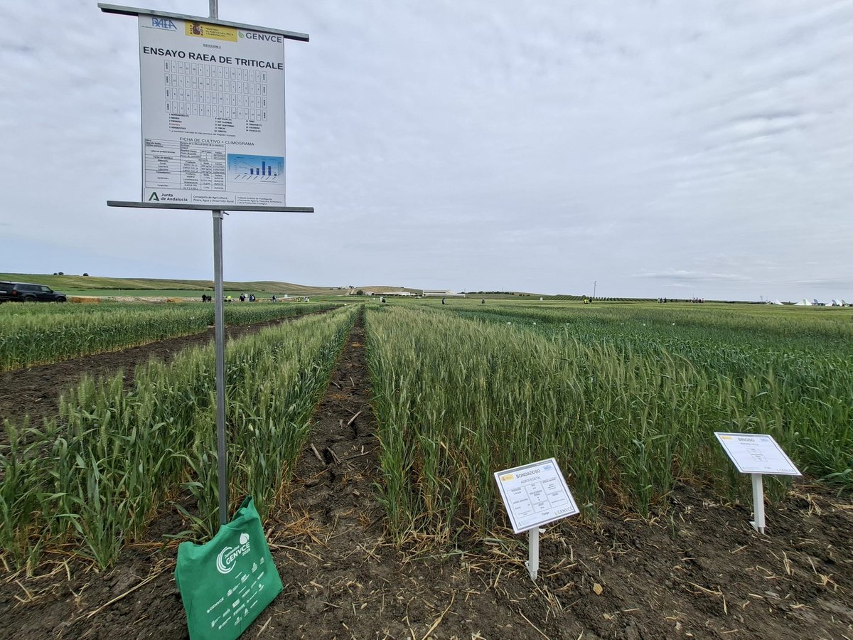 Cooperativas Agro-alimentarias de España tweet media