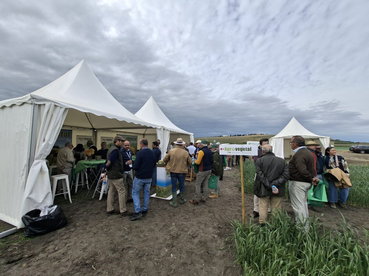 Cooperativas Agro-alimentarias de España tweet media