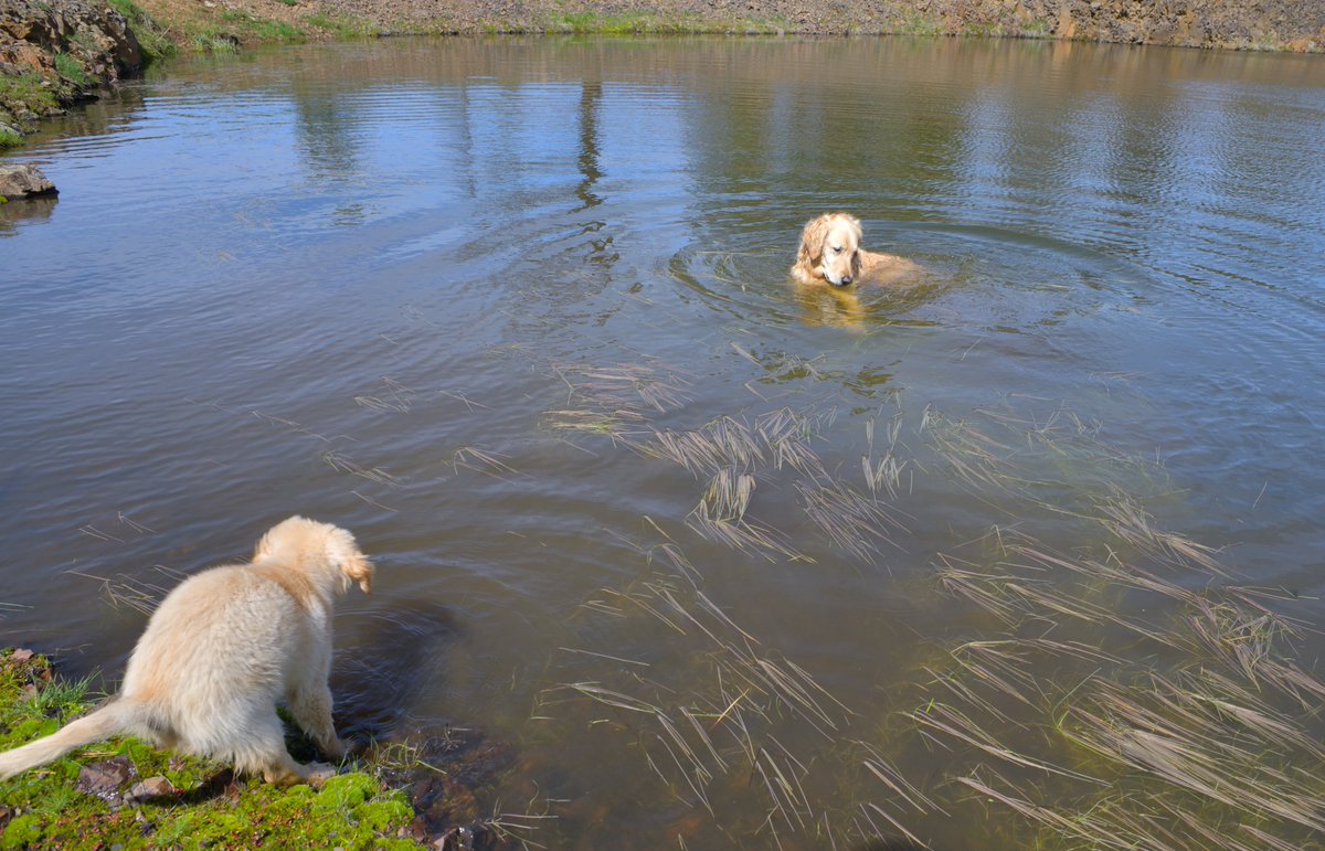 Rich Rautenstrauch tweet media