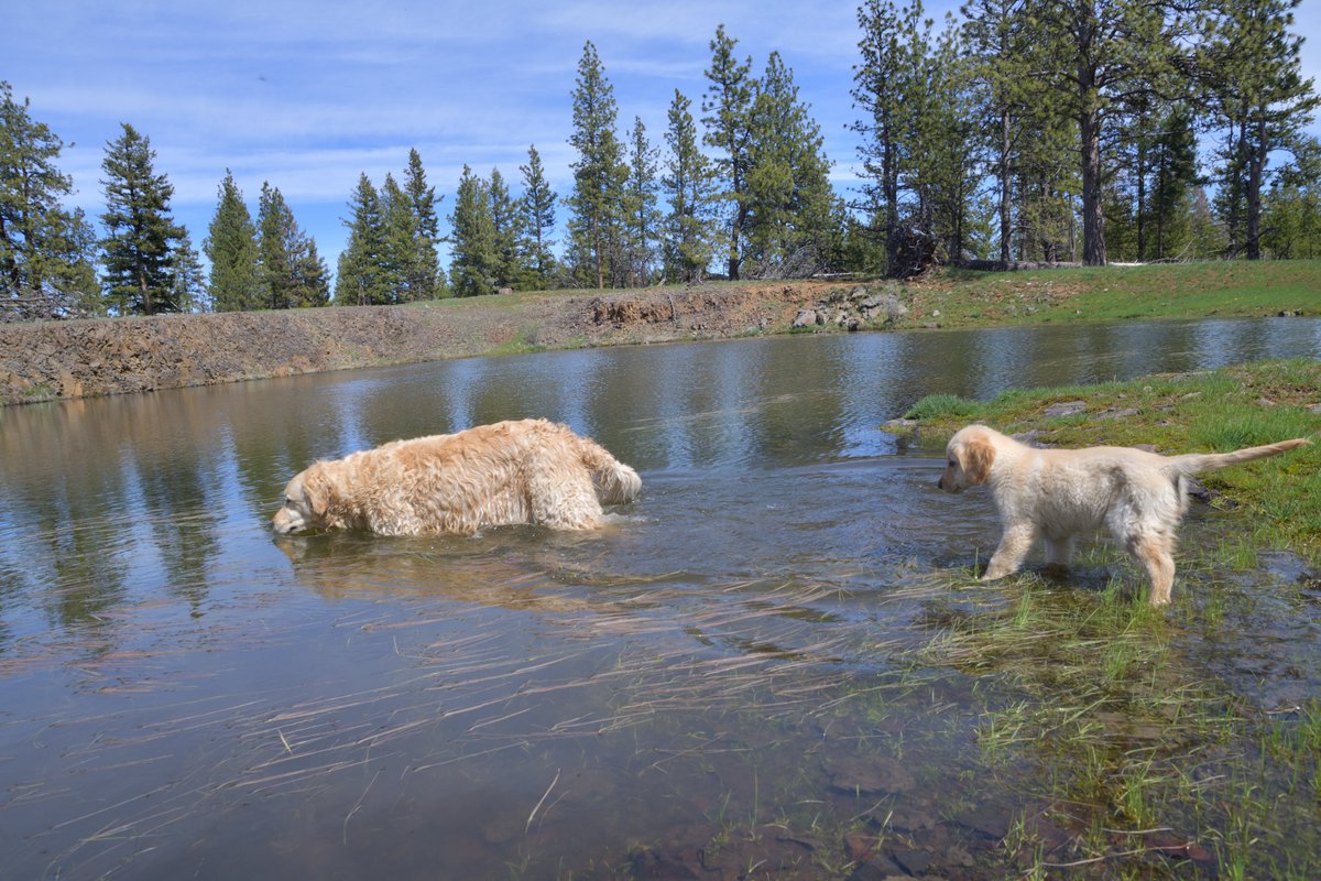 Rich Rautenstrauch tweet media