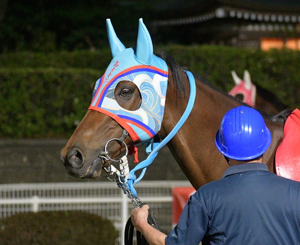 キリン tweet media