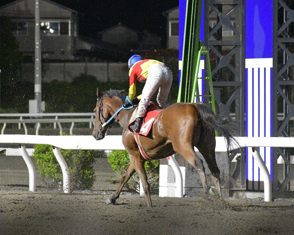 キリン tweet media