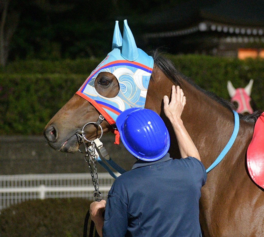 キリン tweet media