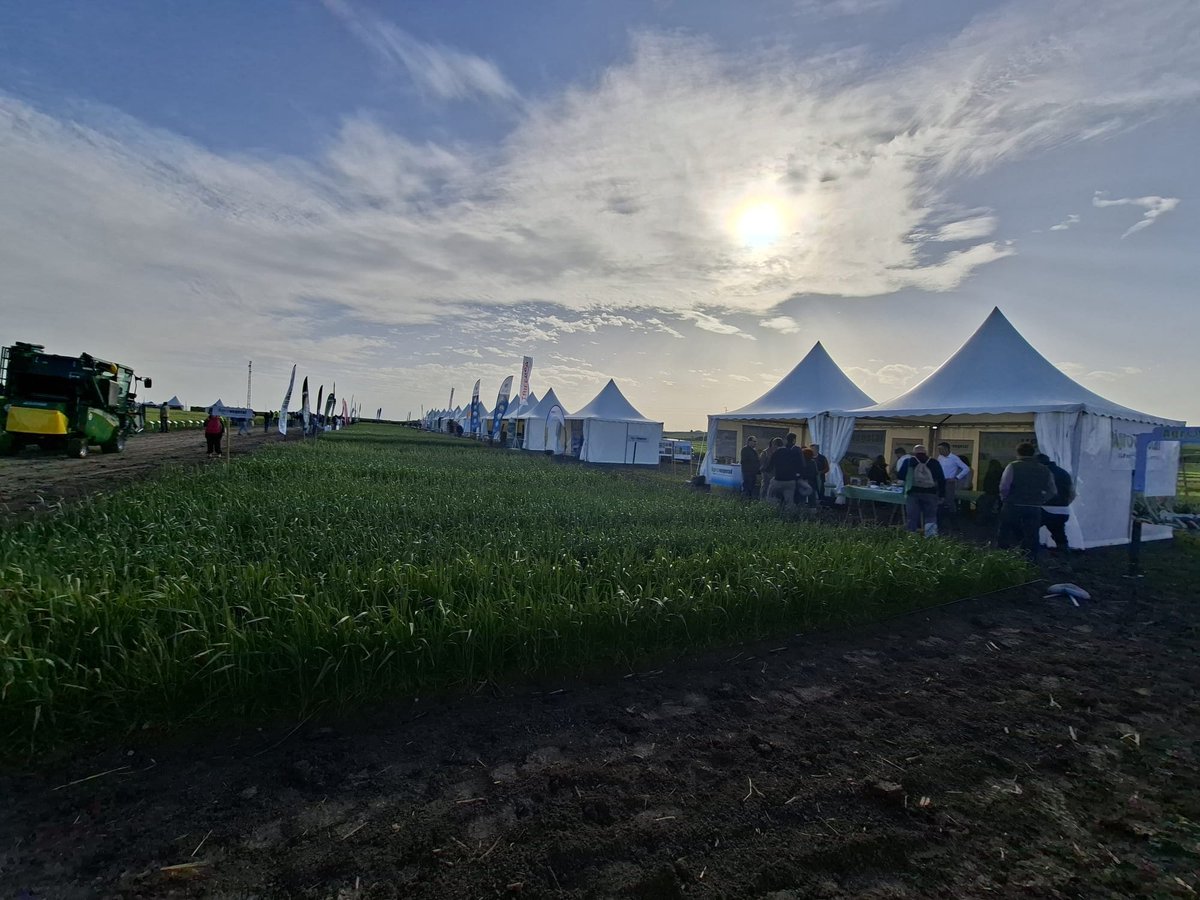 Cooperativas Agro-alimentarias de España tweet media