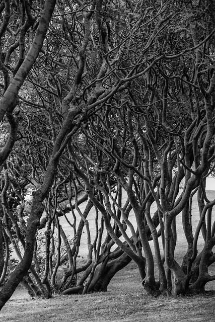 Jean Alexander tweet media