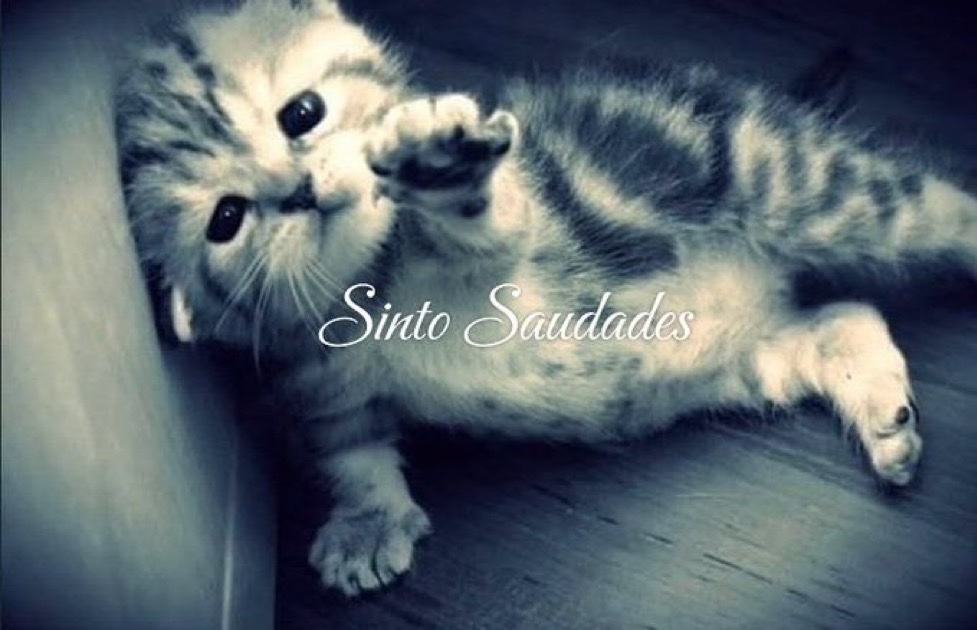 Se você rir, vai pro inferno tweet media