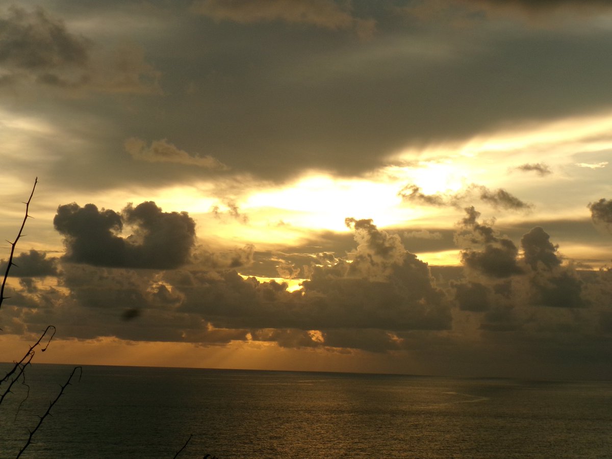 tara ݁ ˖๋ ࣭ ⭑ tweet media