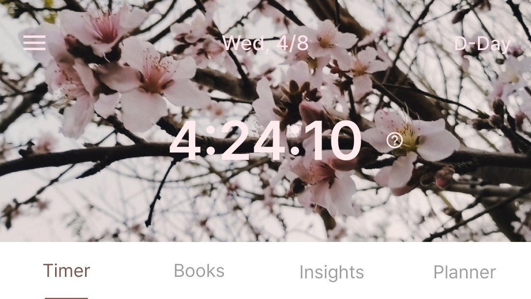 zari ✿ tweet media