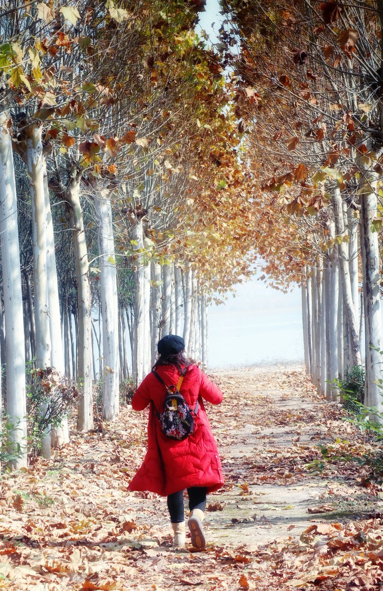 Prithvi Shree tweet media