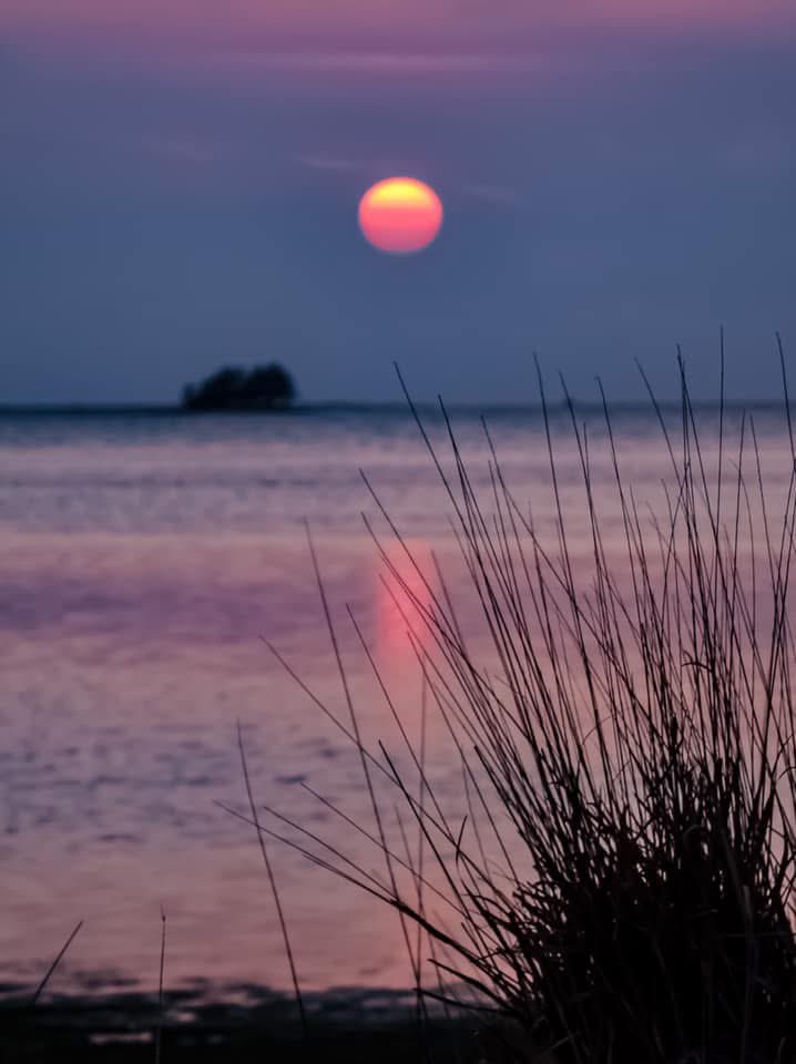 FloridianCreat1's tweet image. A Peaceful Floridian Evening🖖🏼🌞🖖🏼 #florida #sunset #peace #peaceful ✌🏼🌞✌🏼