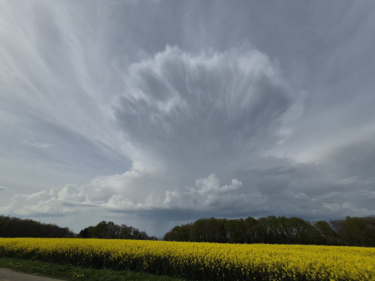 Dimitri Monin tweet media